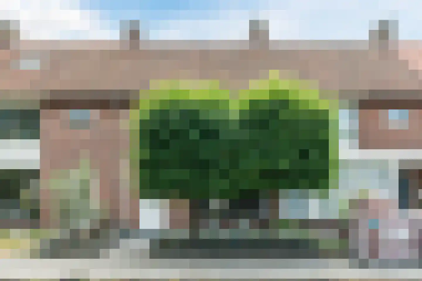 Wingerd 26 Geldrop thumbnail 7