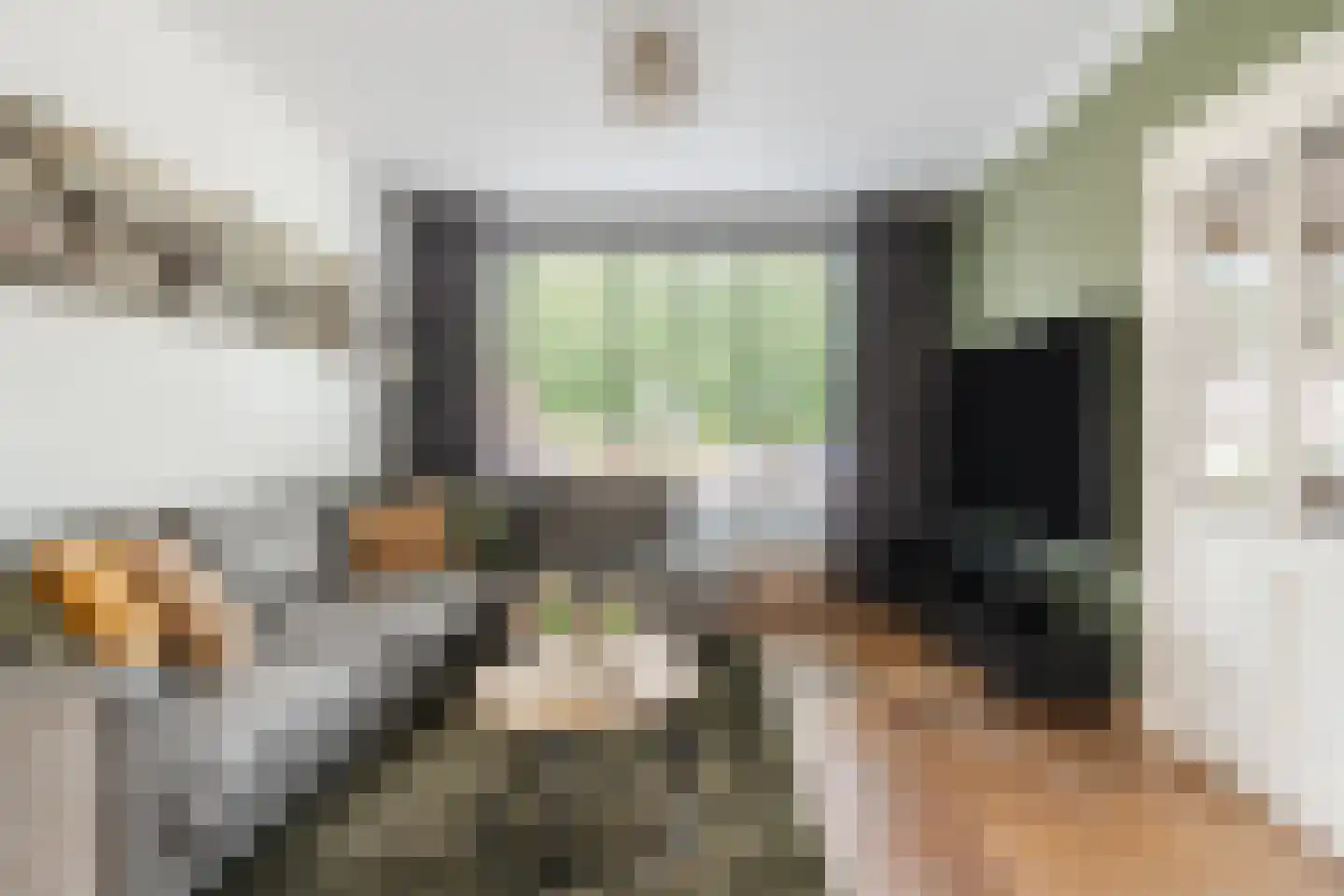 Wingerd 26 Geldrop thumbnail 9