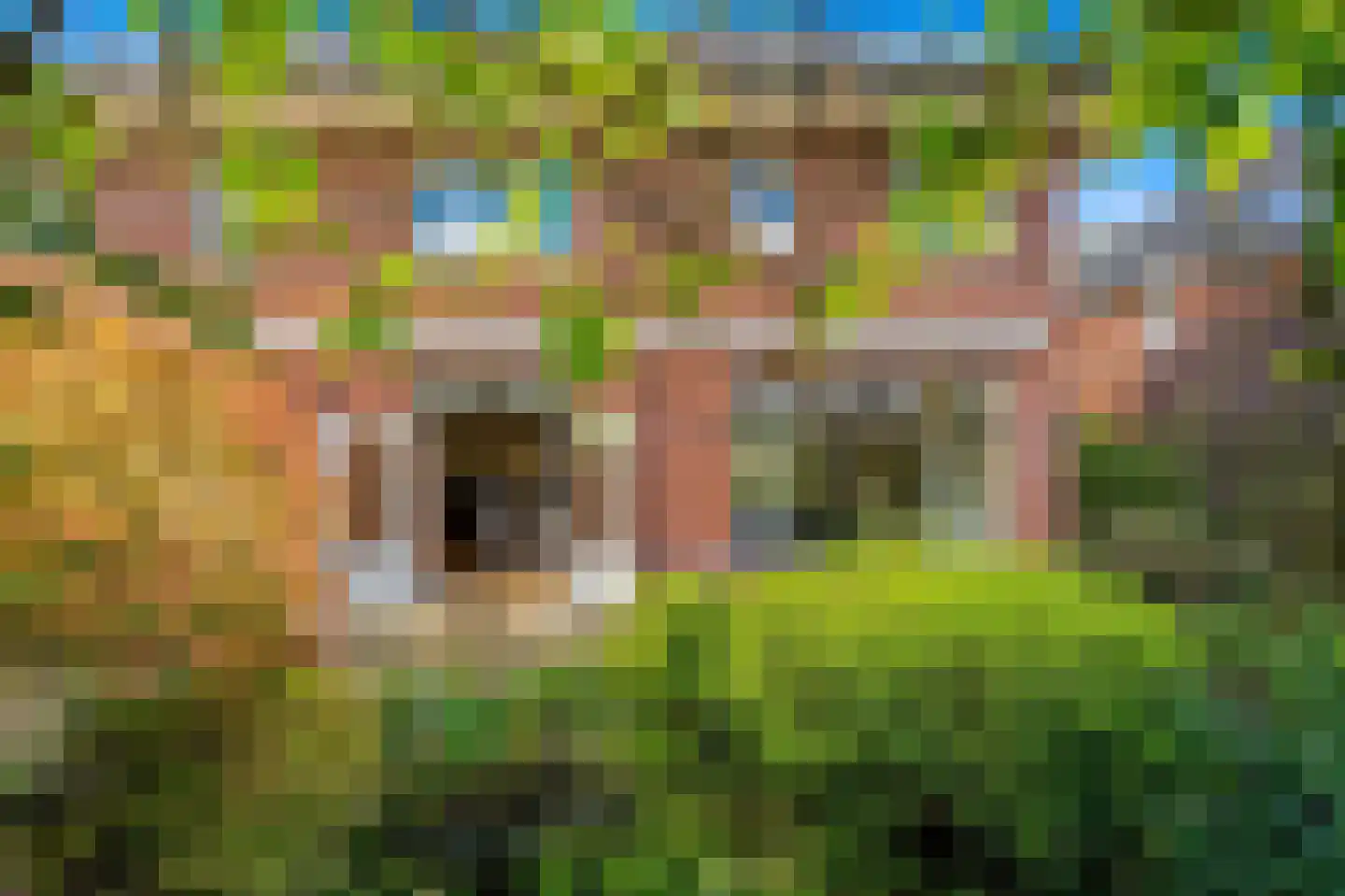 Wingerd 27 Den Haag thumbnail 23