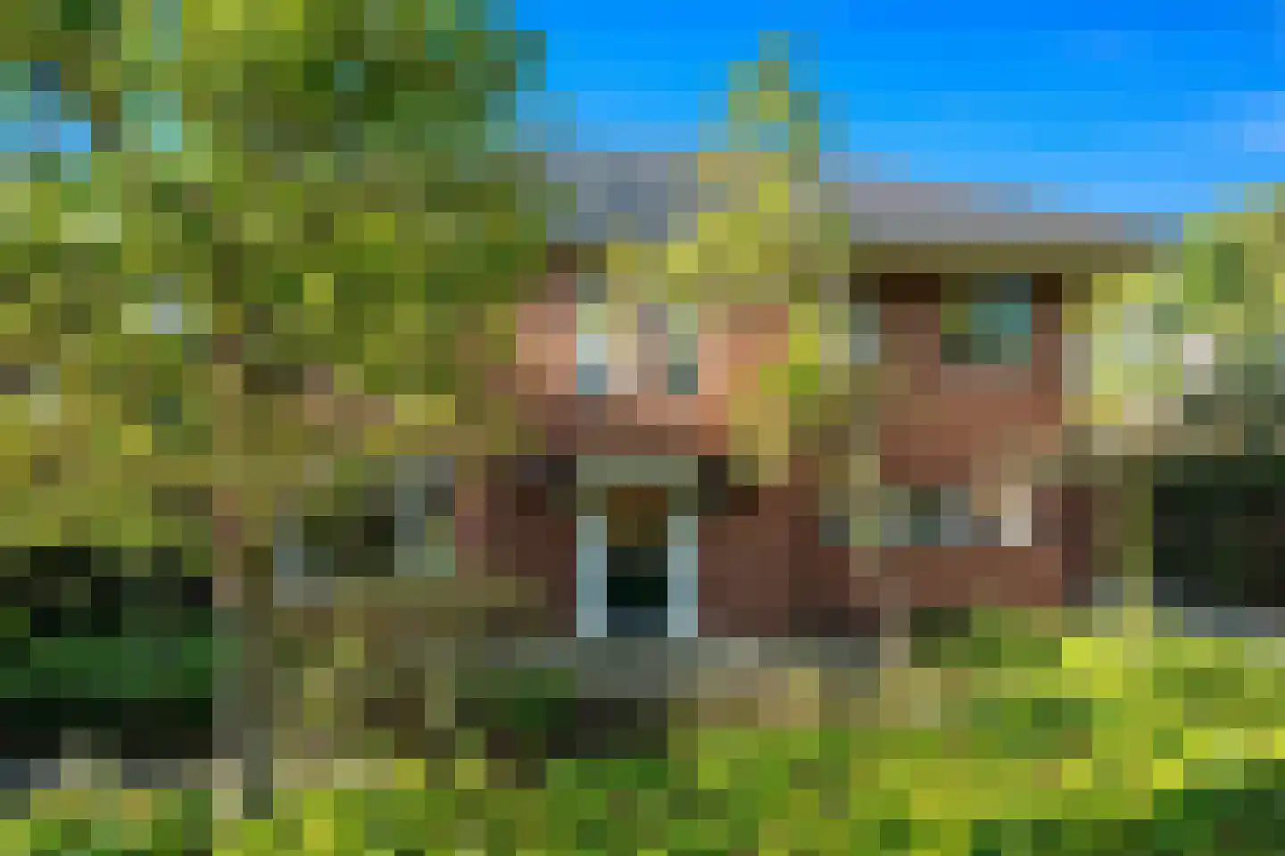Wingerd 27 Den Haag thumbnail 6