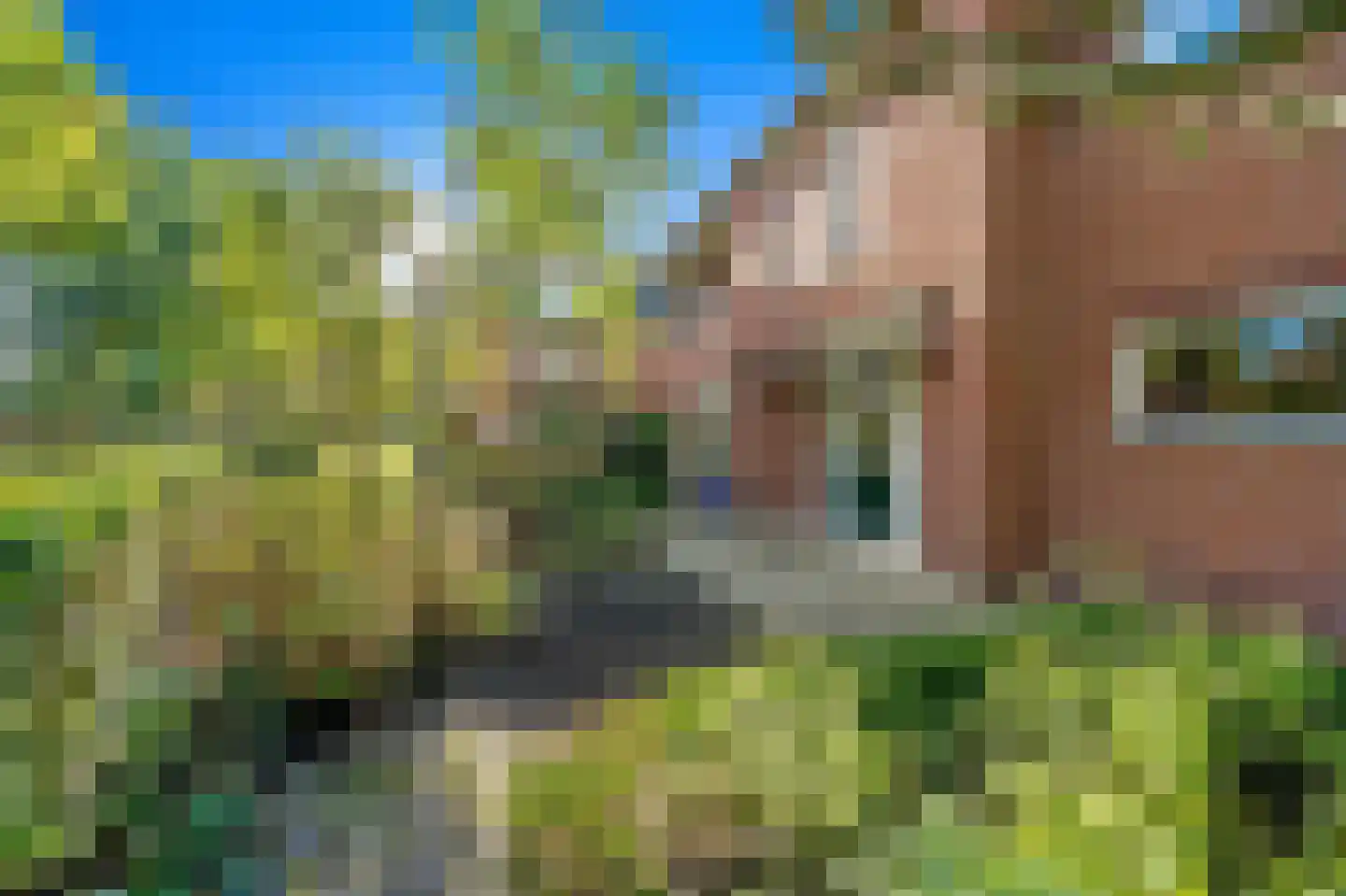 Wingerd 27 Den Haag thumbnail 9