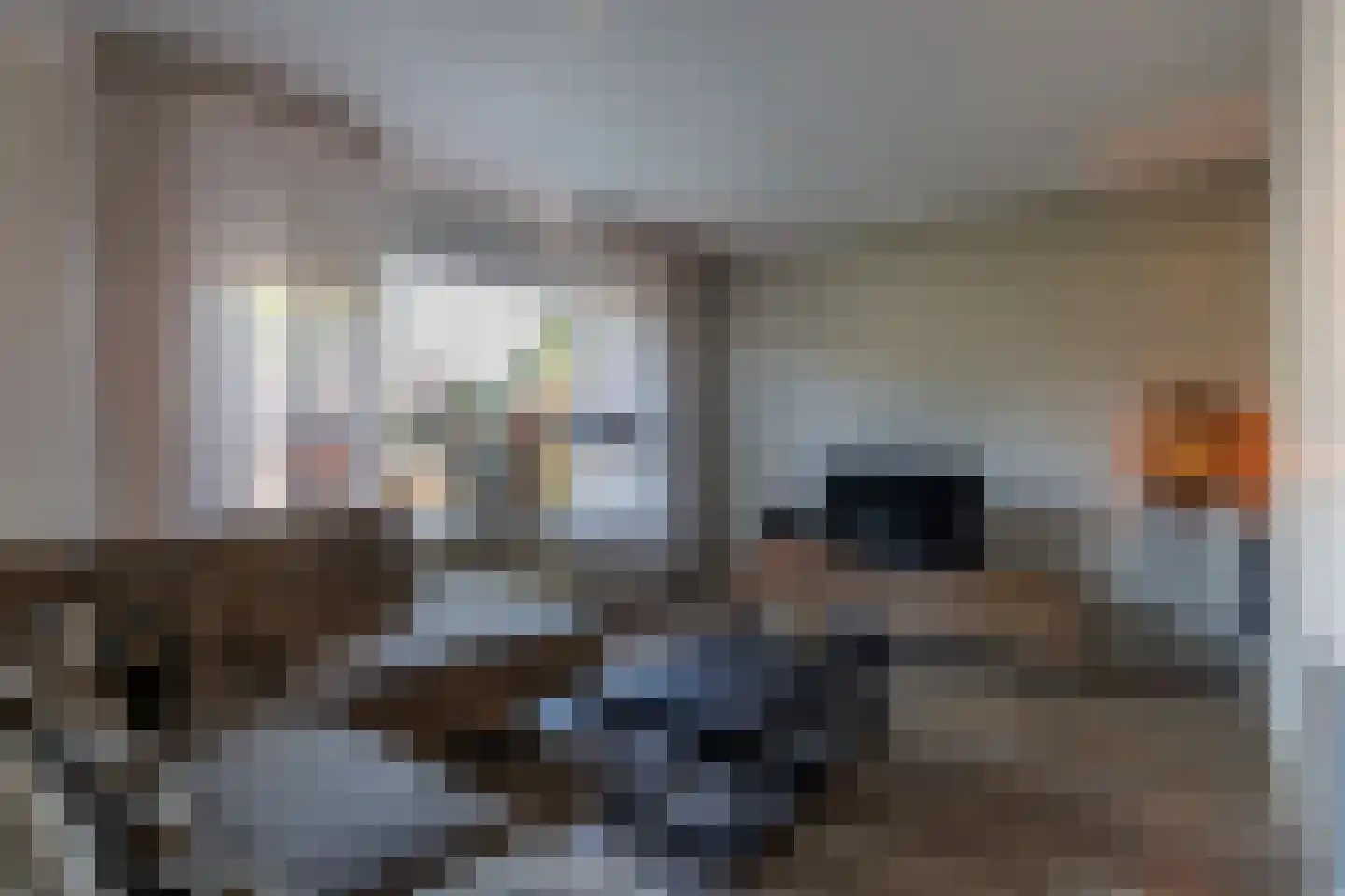 Wingerd 28 Vroomshoop thumbnail 10