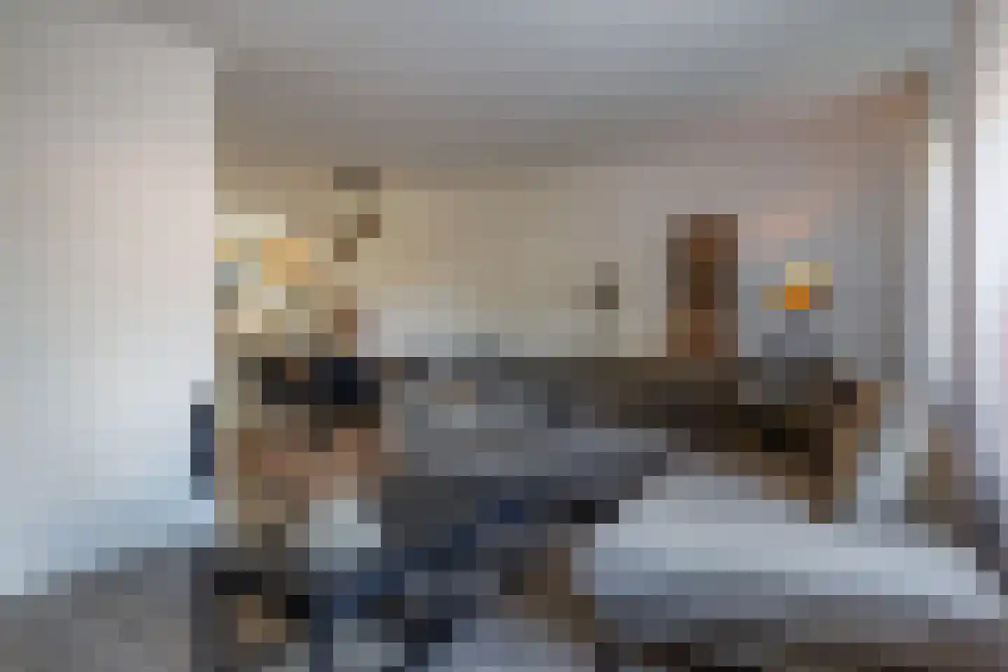 Wingerd 28 Vroomshoop thumbnail 13