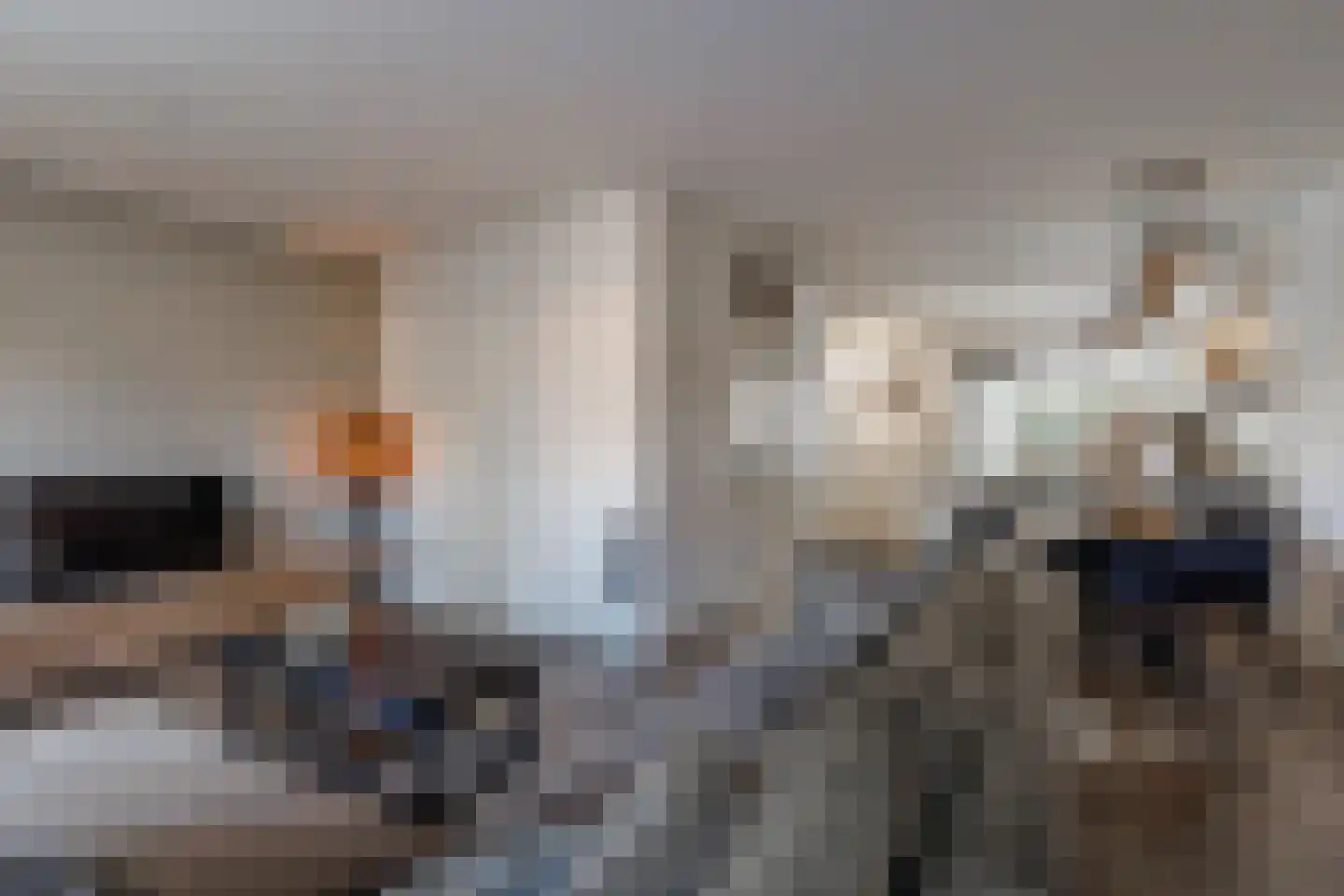 Wingerd 28 Vroomshoop thumbnail 14