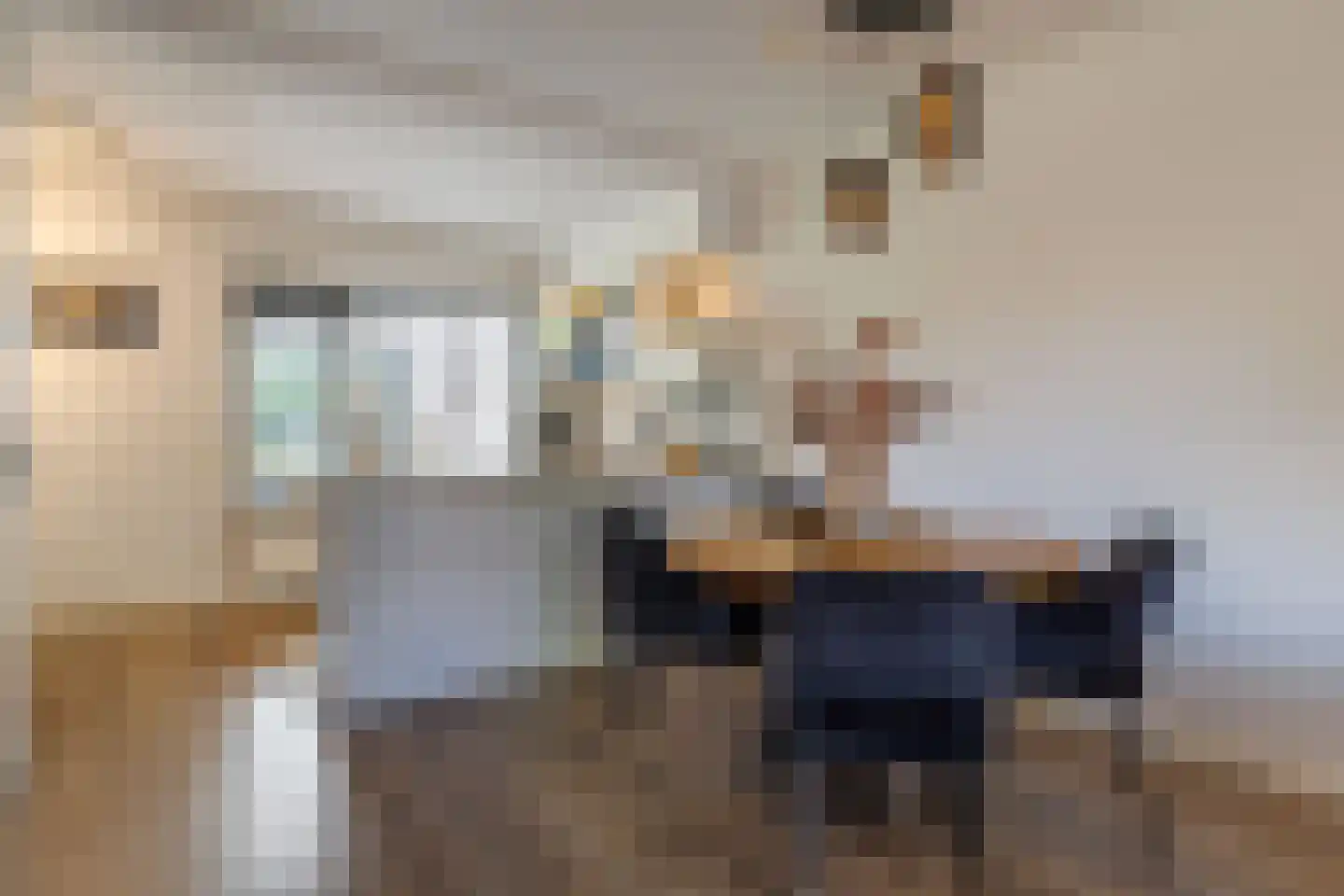 Wingerd 28 Vroomshoop thumbnail 15