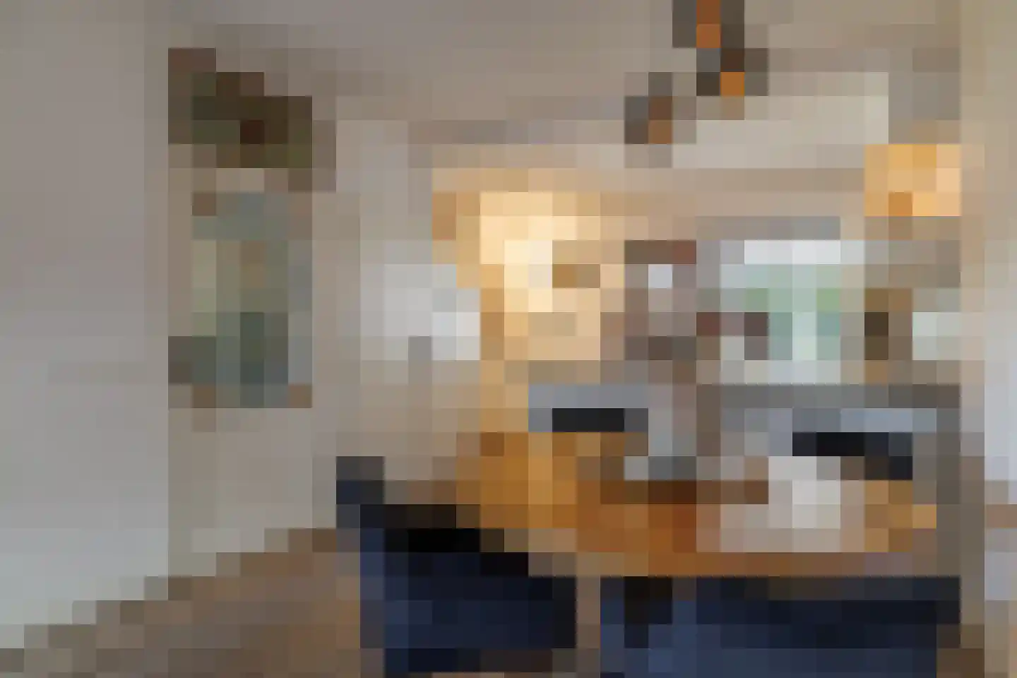 Wingerd 28 Vroomshoop thumbnail 16