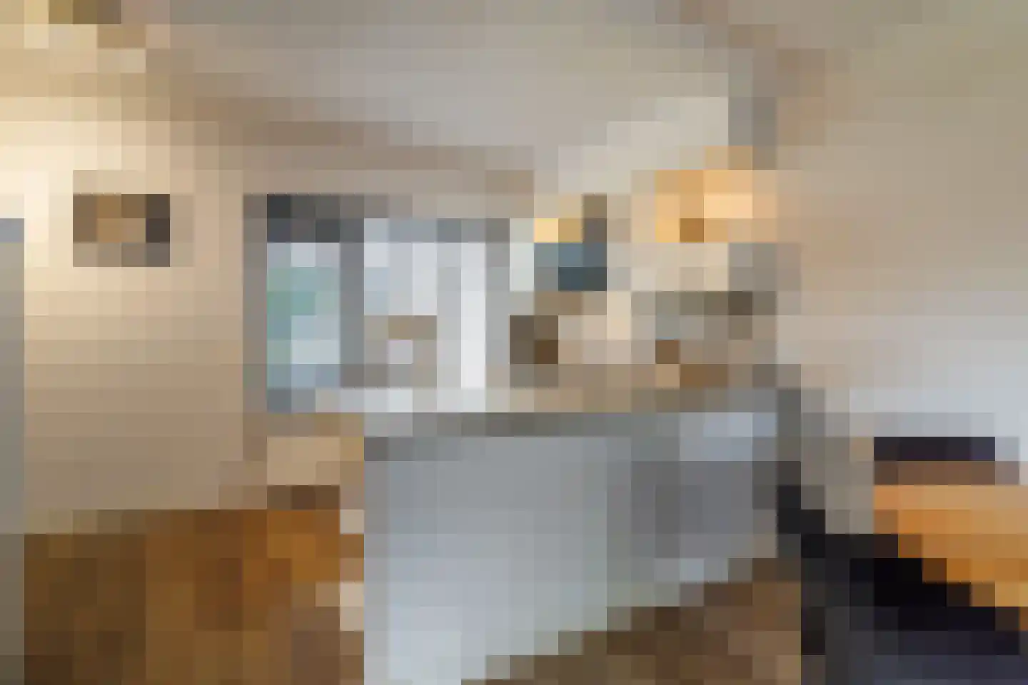 Wingerd 28 Vroomshoop thumbnail 17