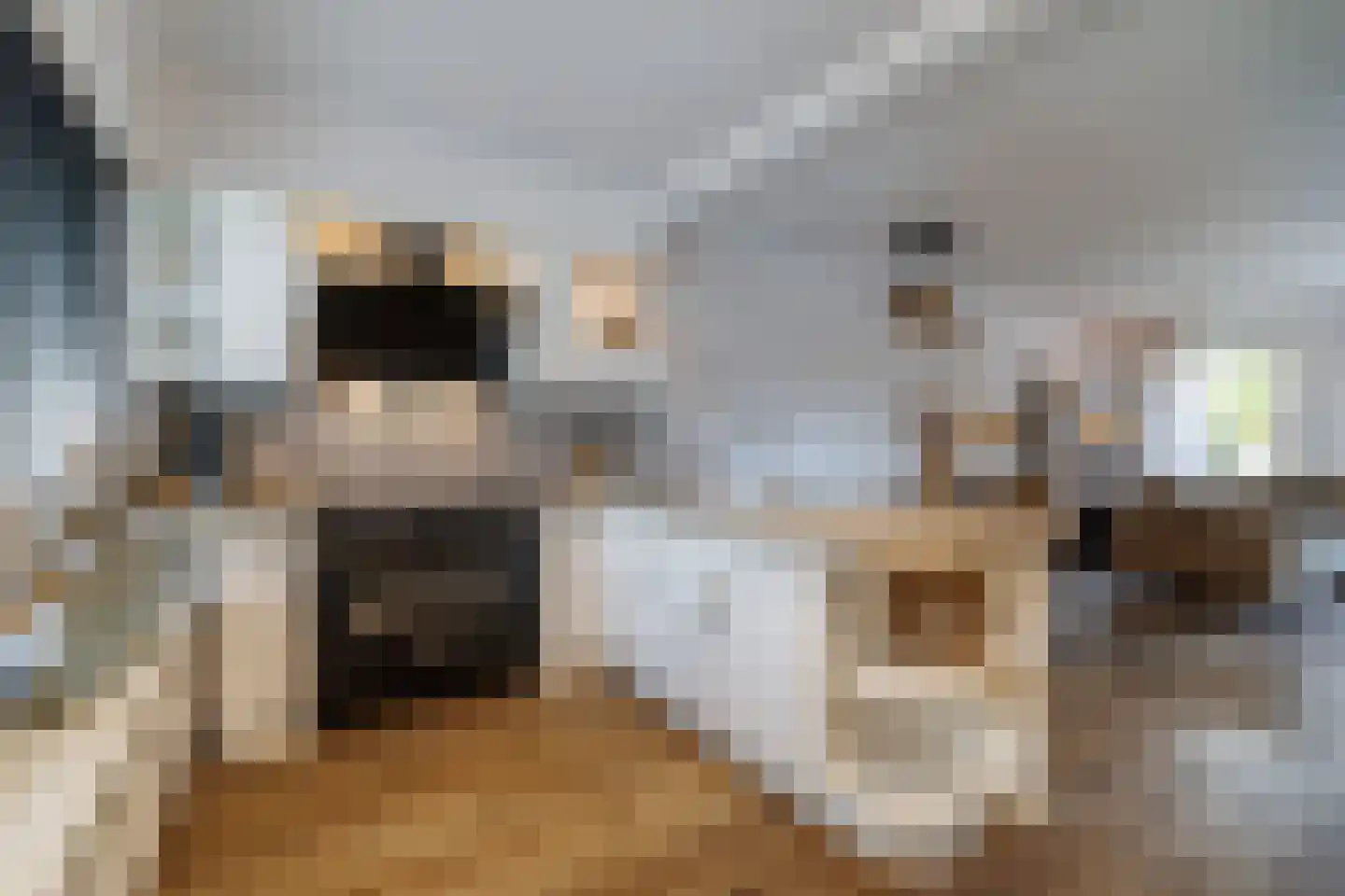Wingerd 28 Vroomshoop thumbnail 18