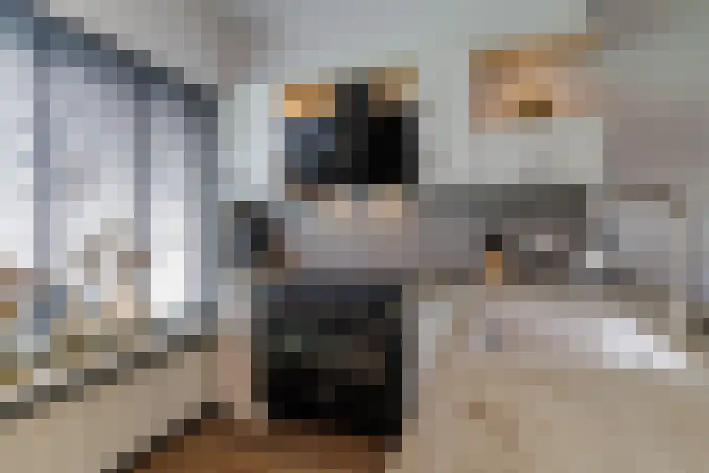 Wingerd 28 Vroomshoop thumbnail 19