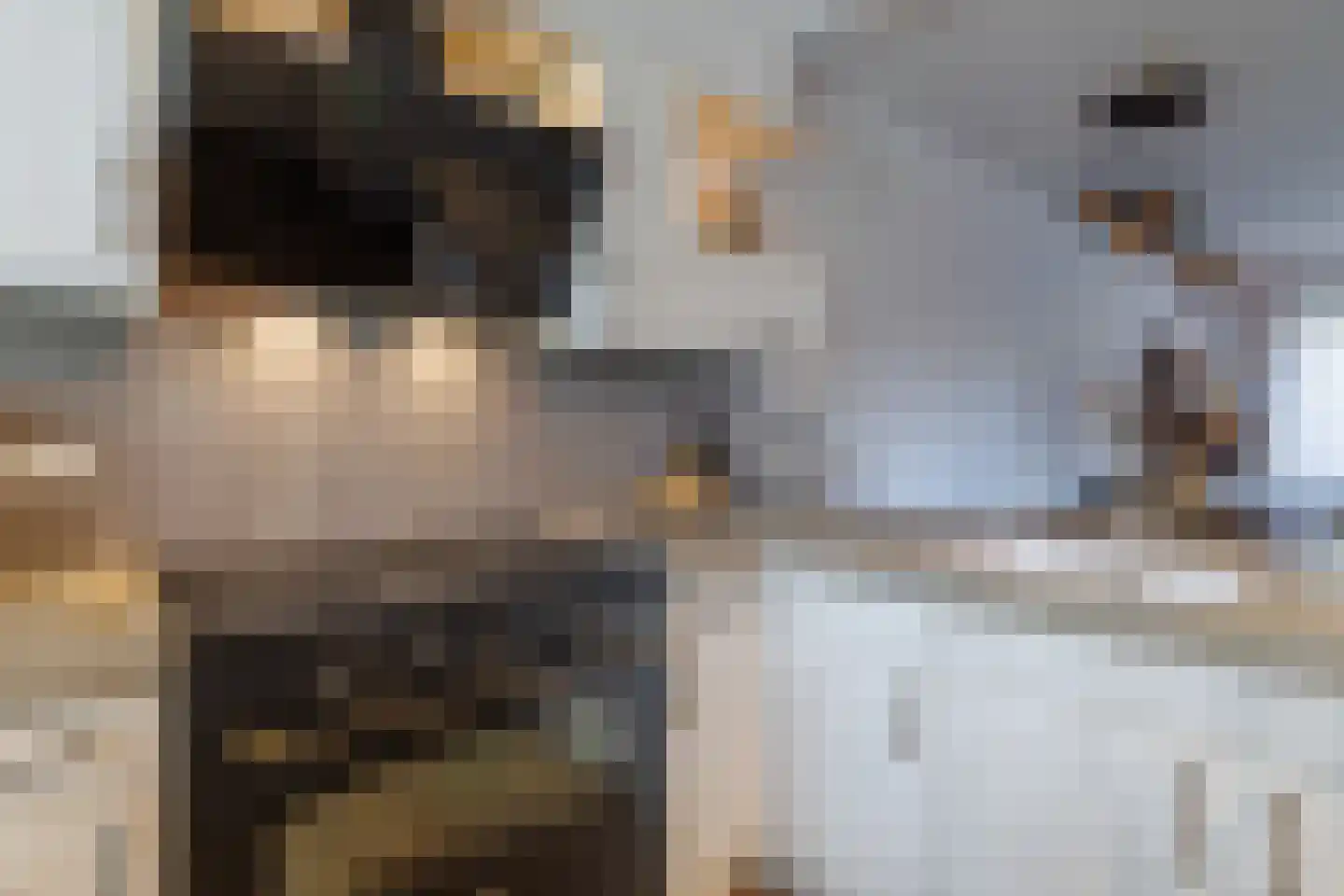 Wingerd 28 Vroomshoop thumbnail 20