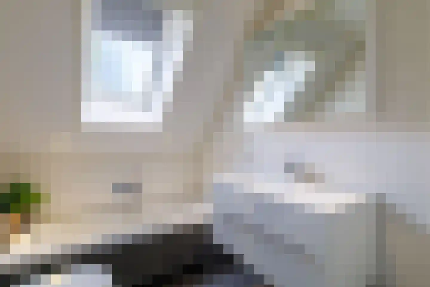 Wingerd 28 Vroomshoop thumbnail 24