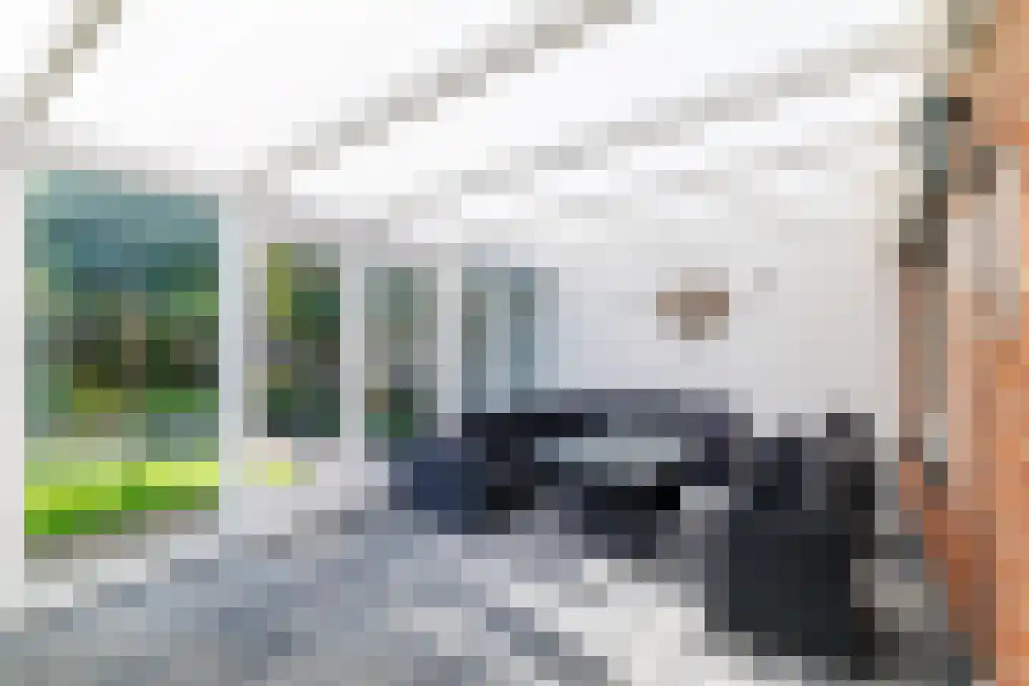 Wingerd 28 Vroomshoop thumbnail 28