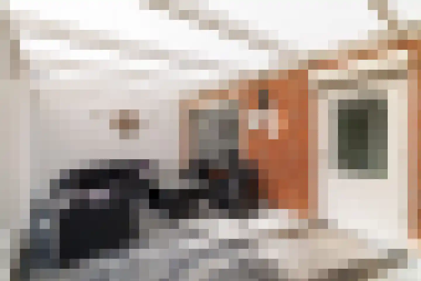 Wingerd 28 Vroomshoop thumbnail 29