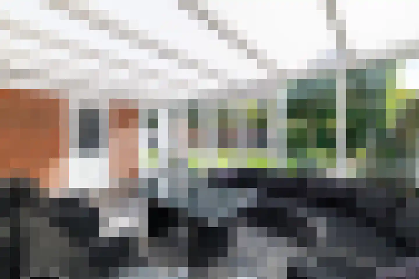 Wingerd 28 Vroomshoop thumbnail 30