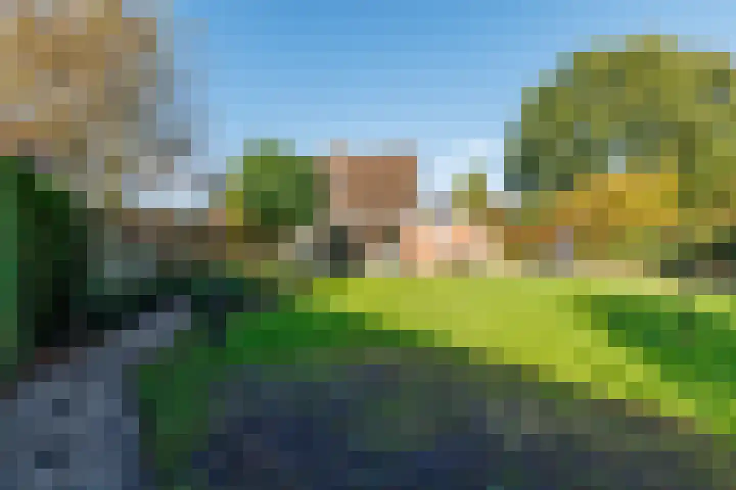 Wingerd 28 Vroomshoop thumbnail 33