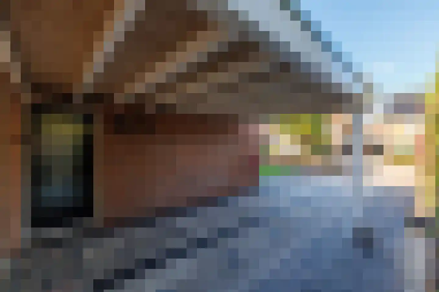 Wingerd 28 Vroomshoop thumbnail 38