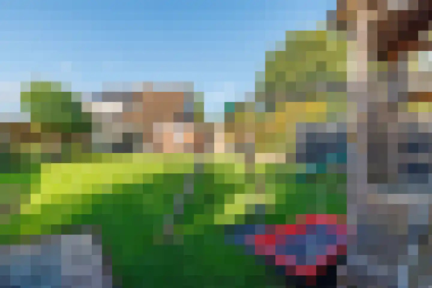 Wingerd 28 Vroomshoop thumbnail 4
