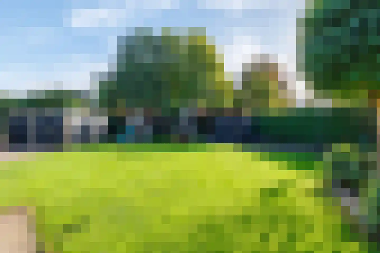 Wingerd 28 Vroomshoop thumbnail 40
