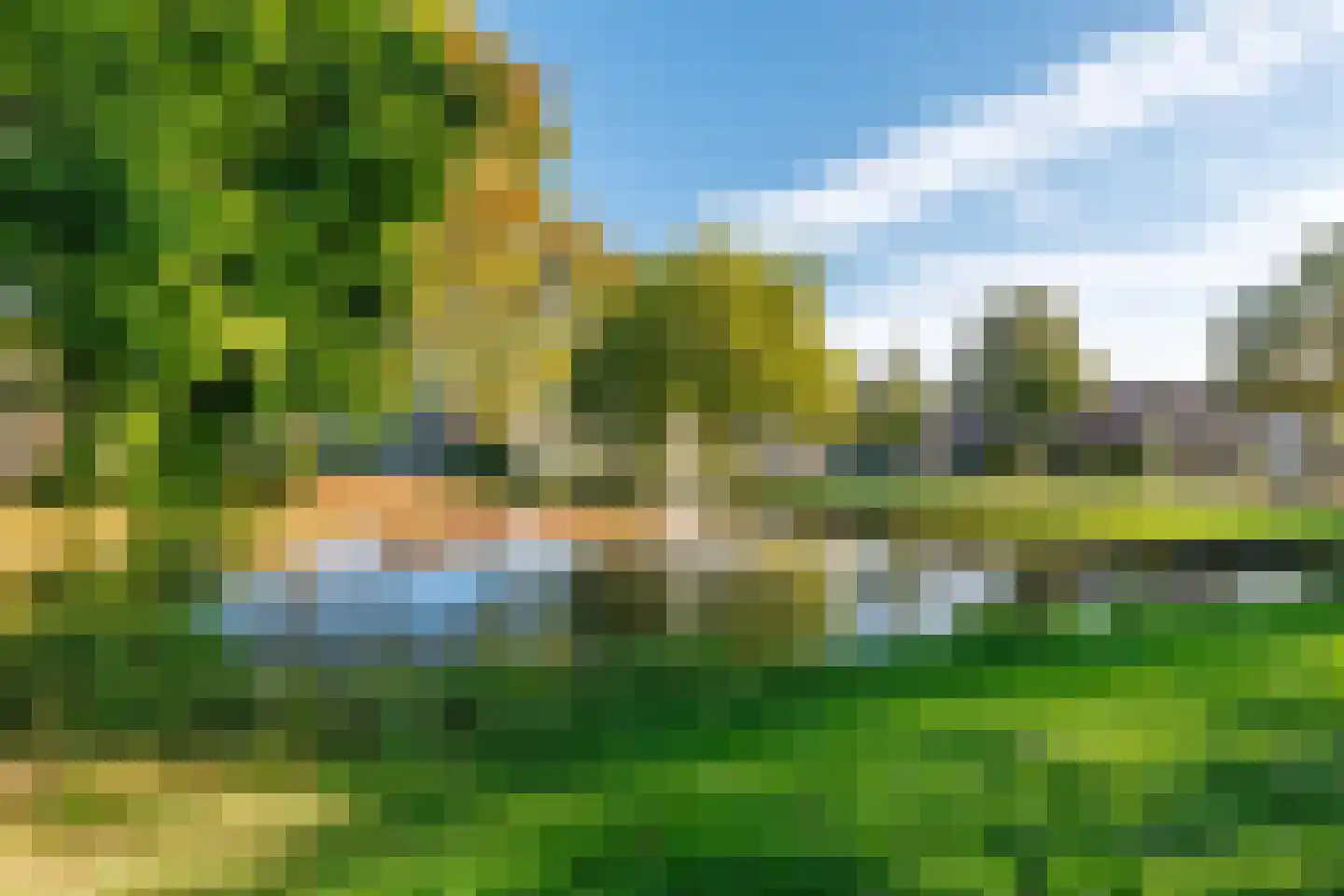 Wingerd 28 Vroomshoop thumbnail 41