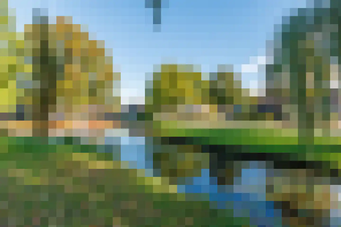 Wingerd 28 Vroomshoop thumbnail 43