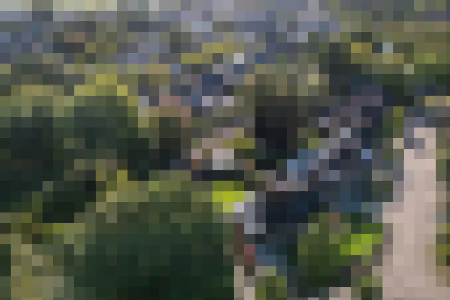 Wingerd 28 Vroomshoop thumbnail 5