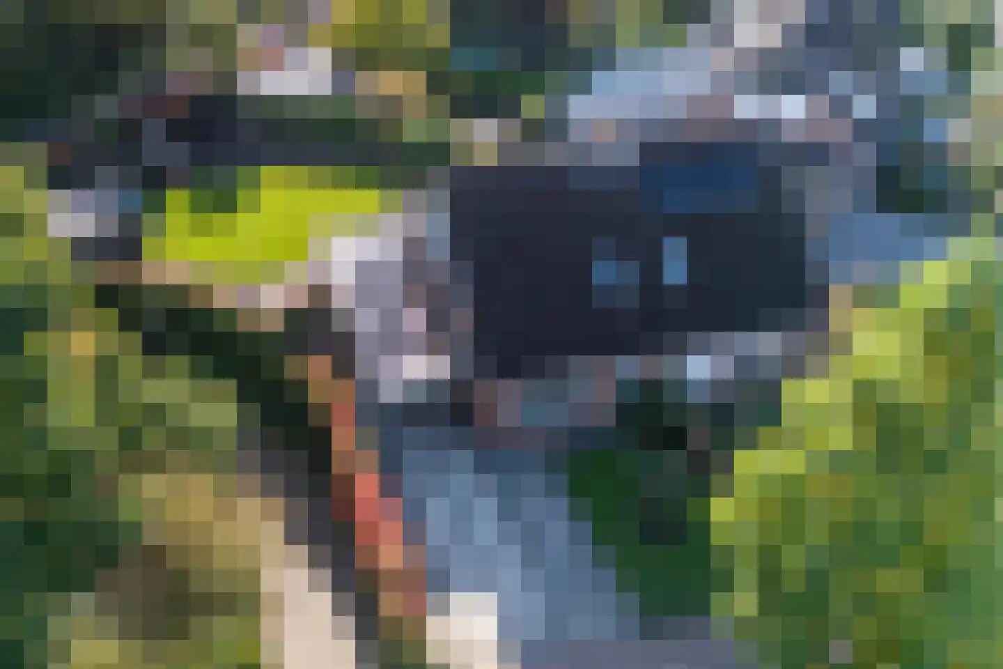 Wingerd 28 Vroomshoop thumbnail 6