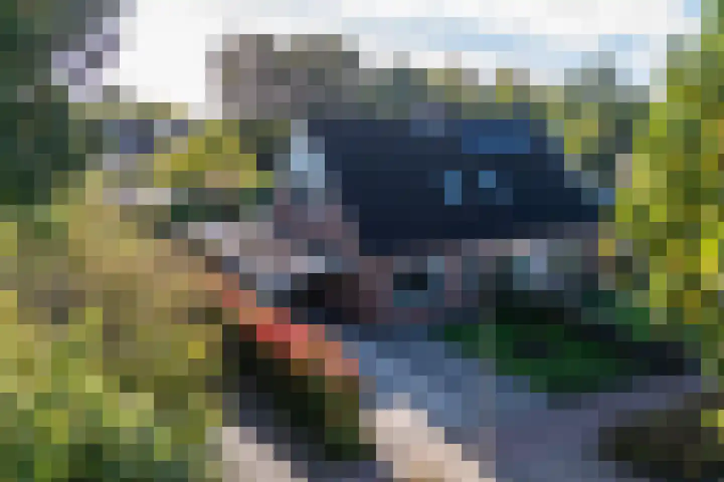 Wingerd 28 Vroomshoop thumbnail 7