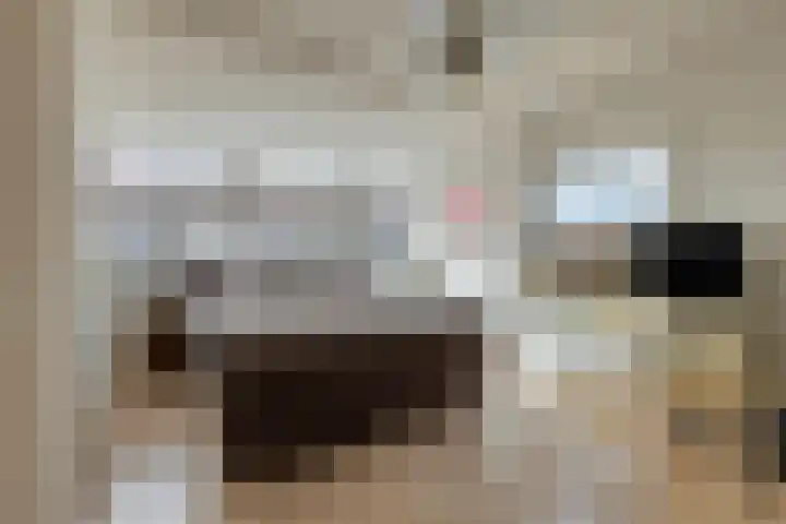 Wingerd 3 Schaijk thumbnail 31