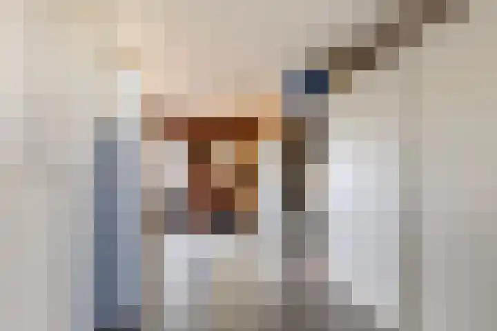 Wingerd 3 Schaijk thumbnail 34