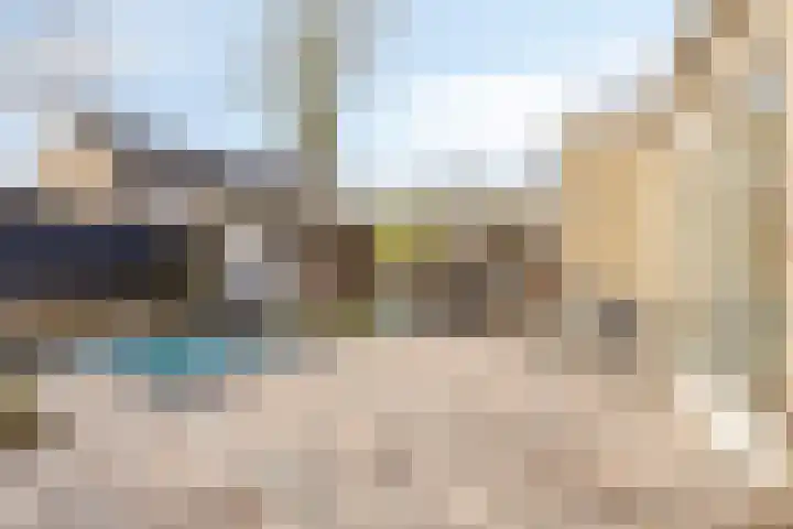 Wingerd 3 Schaijk thumbnail 35
