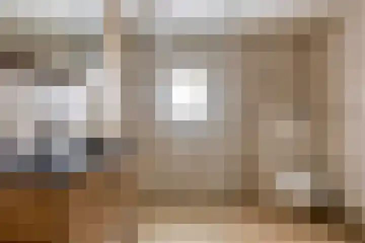 Wingerd 3 Schaijk thumbnail 5