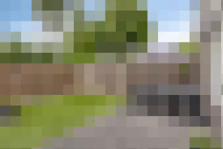 Wingerd 31 Schaijk thumbnail 26