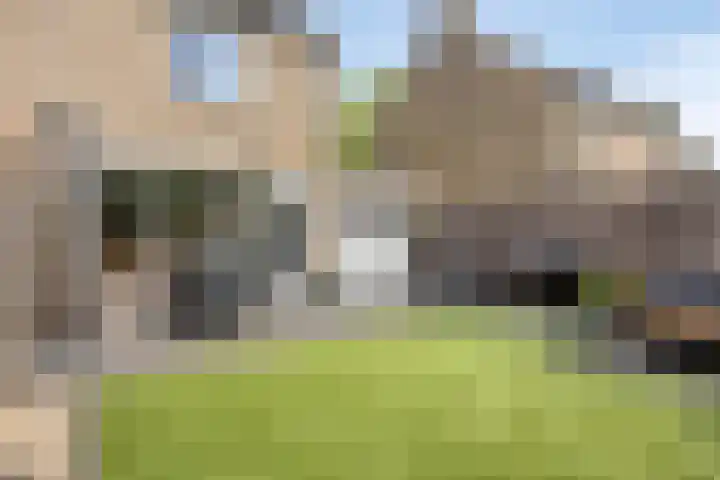 Wingerd 31 Schaijk thumbnail 28