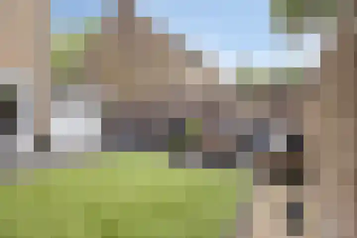 Wingerd 31 Schaijk thumbnail 29