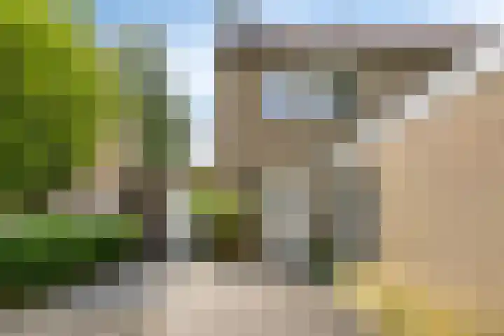 Wingerd 31 Schaijk thumbnail 32
