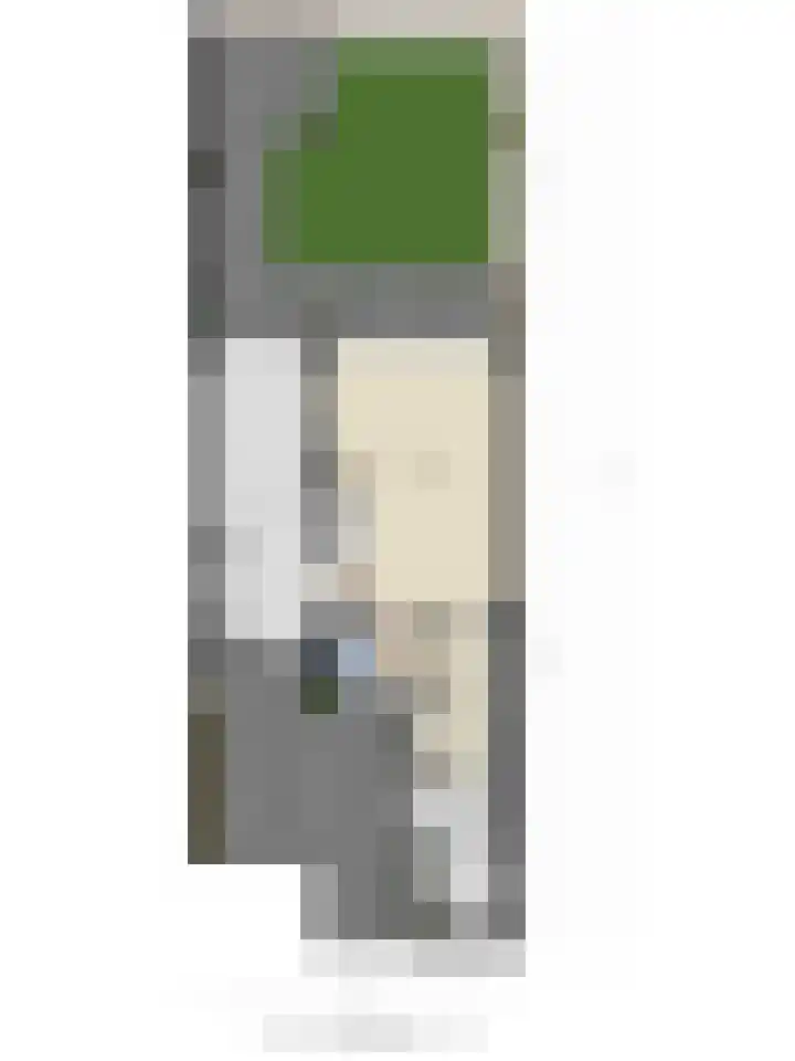 Wingerd 31 Schaijk thumbnail 34