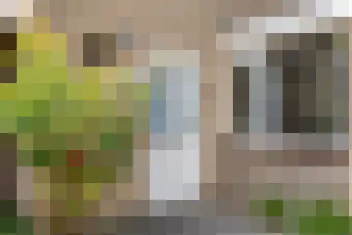 Wingerd 31 Schaijk thumbnail 4