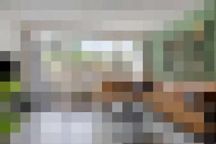 Wingerd 31 Schaijk thumbnail 7