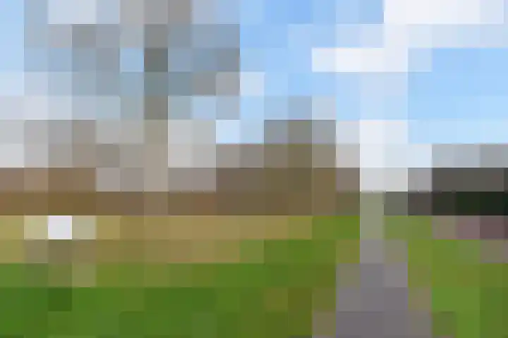 Wingerd 34 Den Haag thumbnail 33
