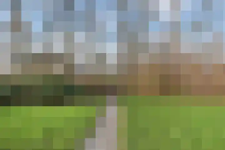 Wingerd 34 Den Haag thumbnail 36