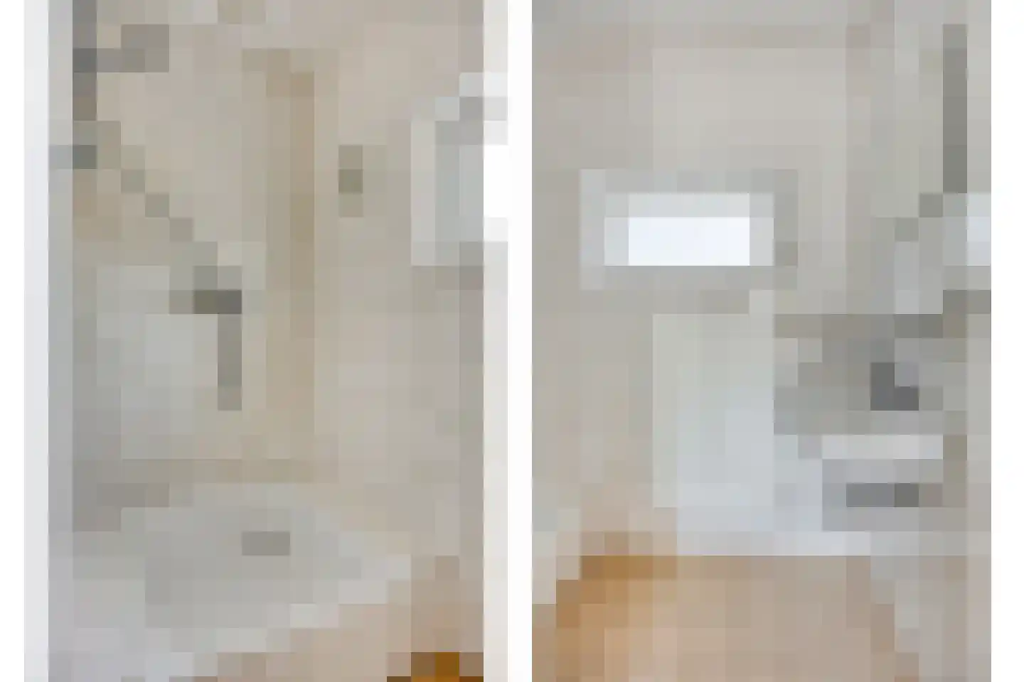 Wingerd 34 Geldrop thumbnail 17
