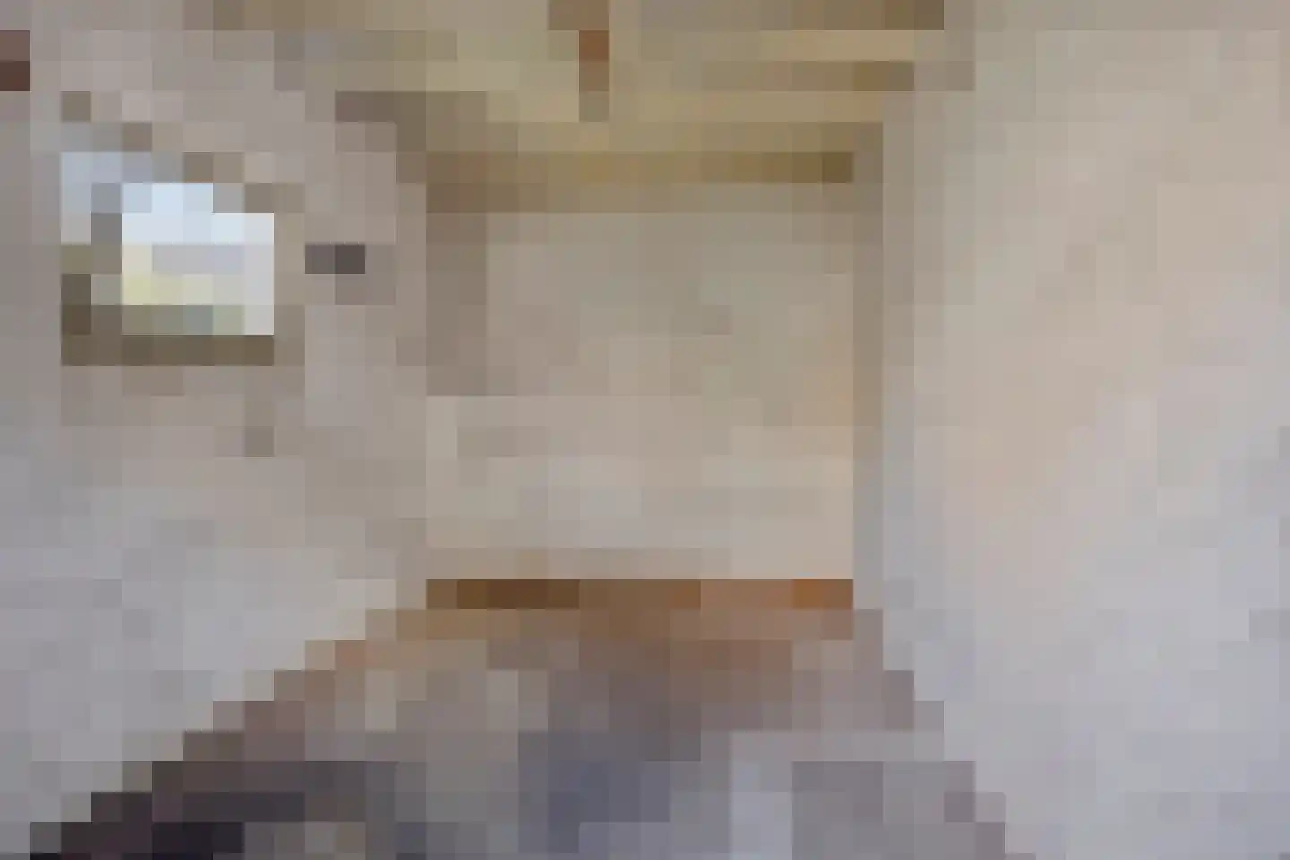 Wingerd 34 Geldrop thumbnail 23