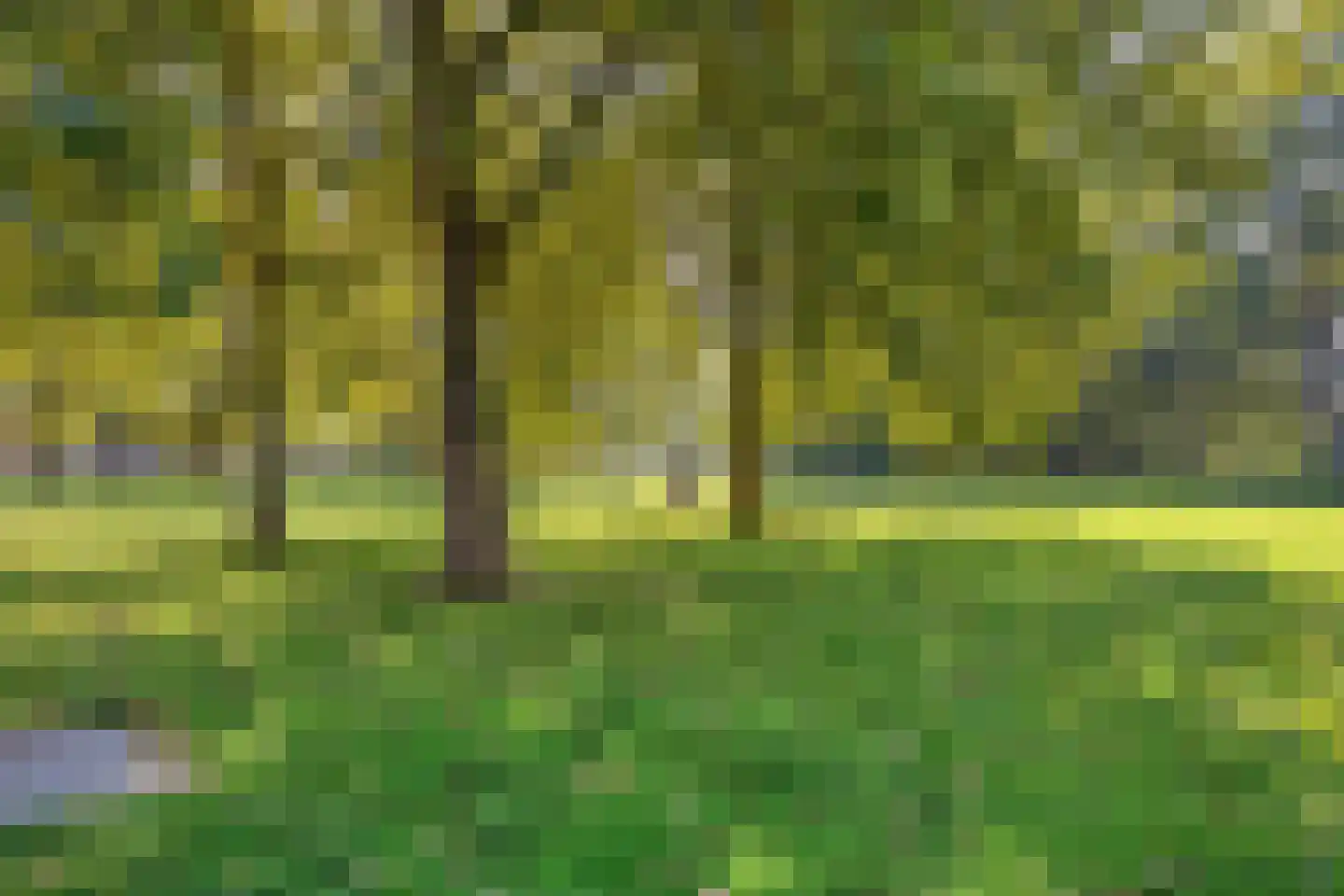 Wingerd 34 Geldrop thumbnail 25