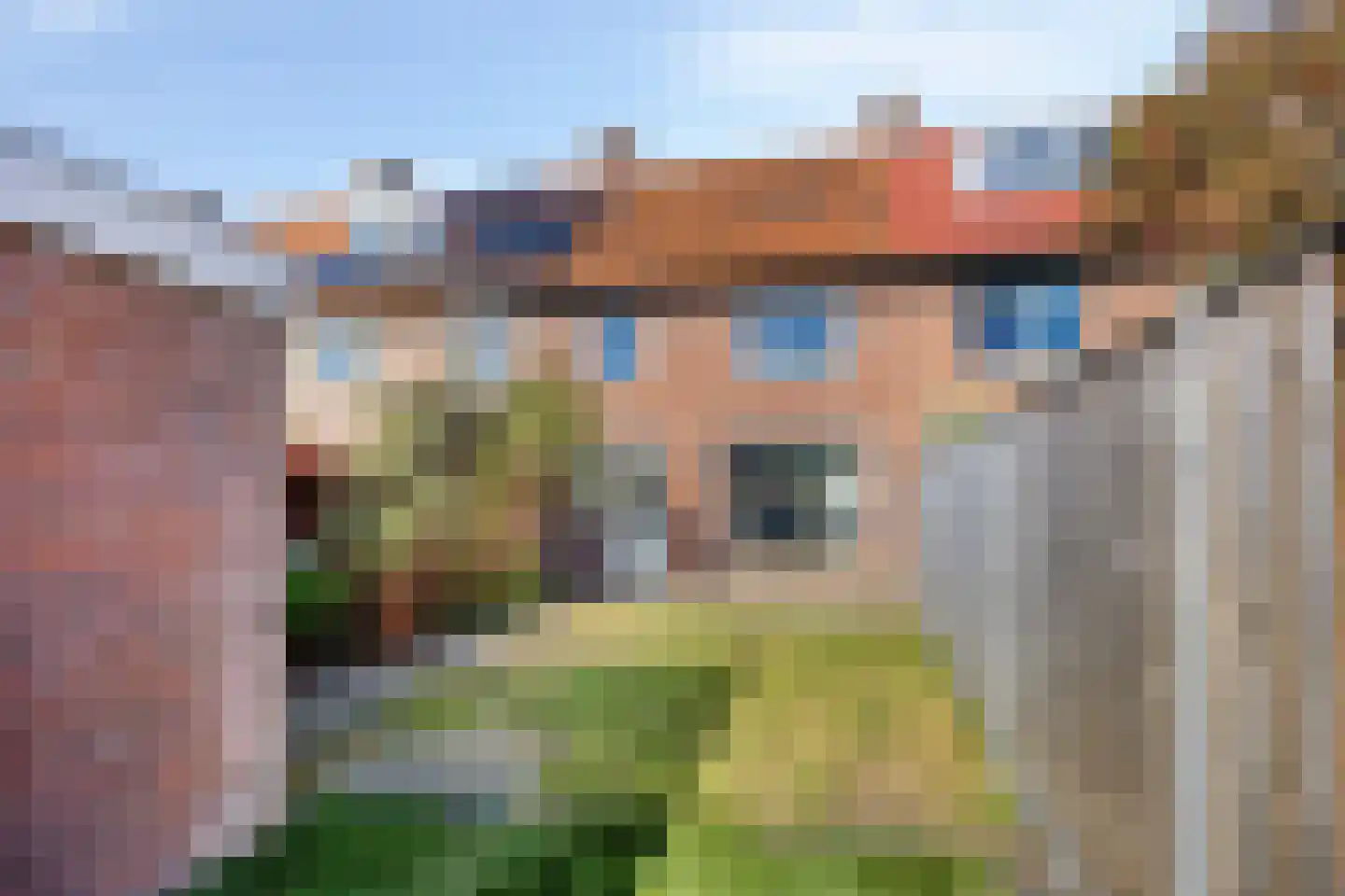 Wingerd 34 Geldrop thumbnail 4