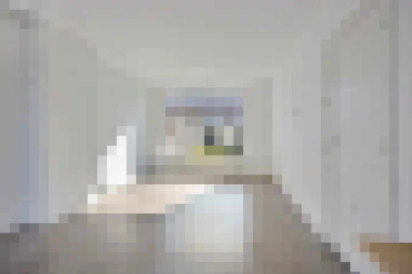 Wingerd 34 Geldrop thumbnail 6