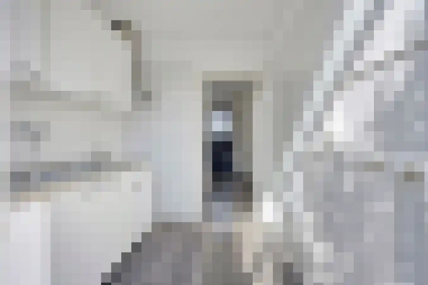 Wingerd 34 Geldrop thumbnail 8