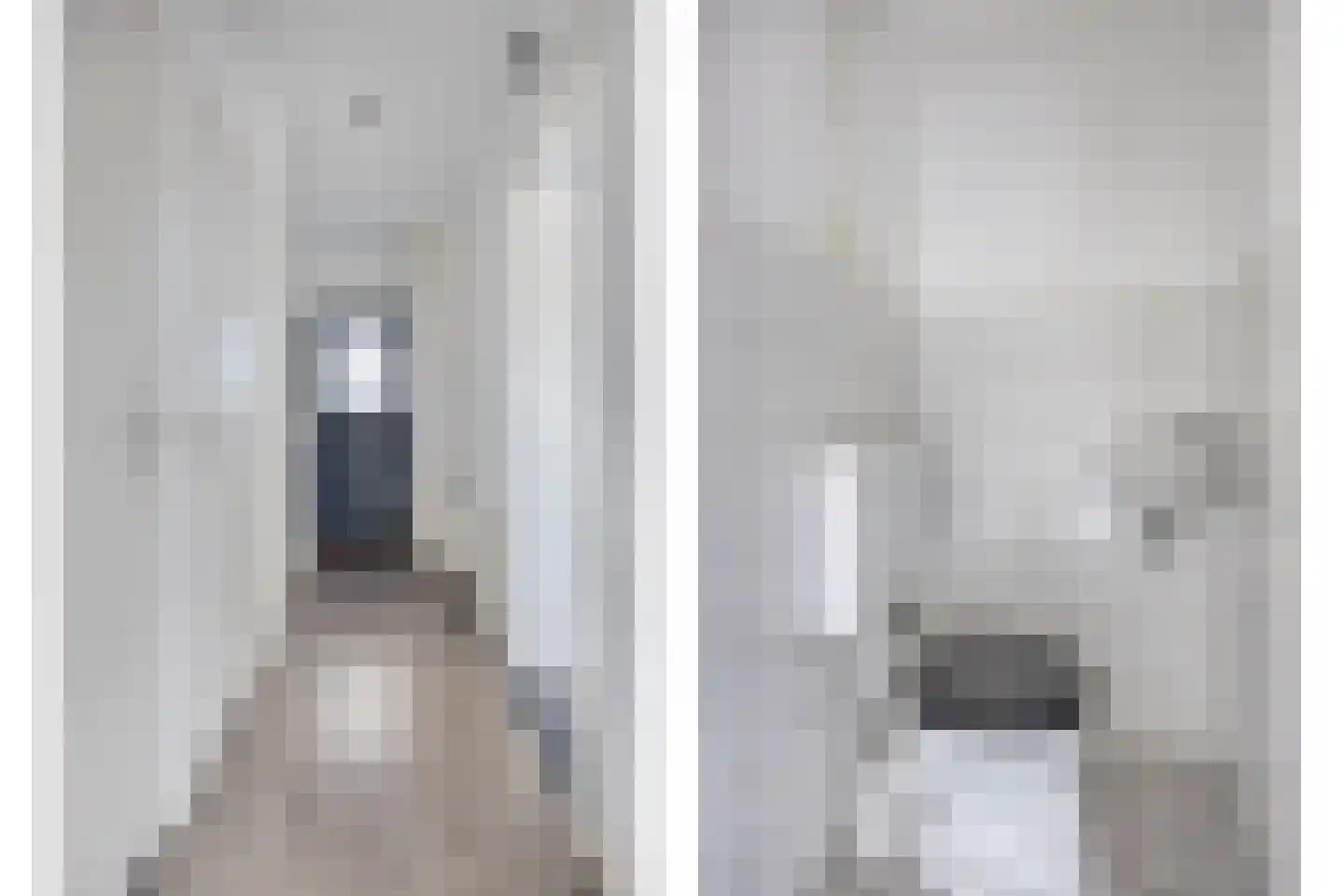 Wingerd 34 Geldrop thumbnail 9