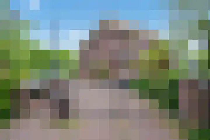 Wingerd 38 in Den Haag