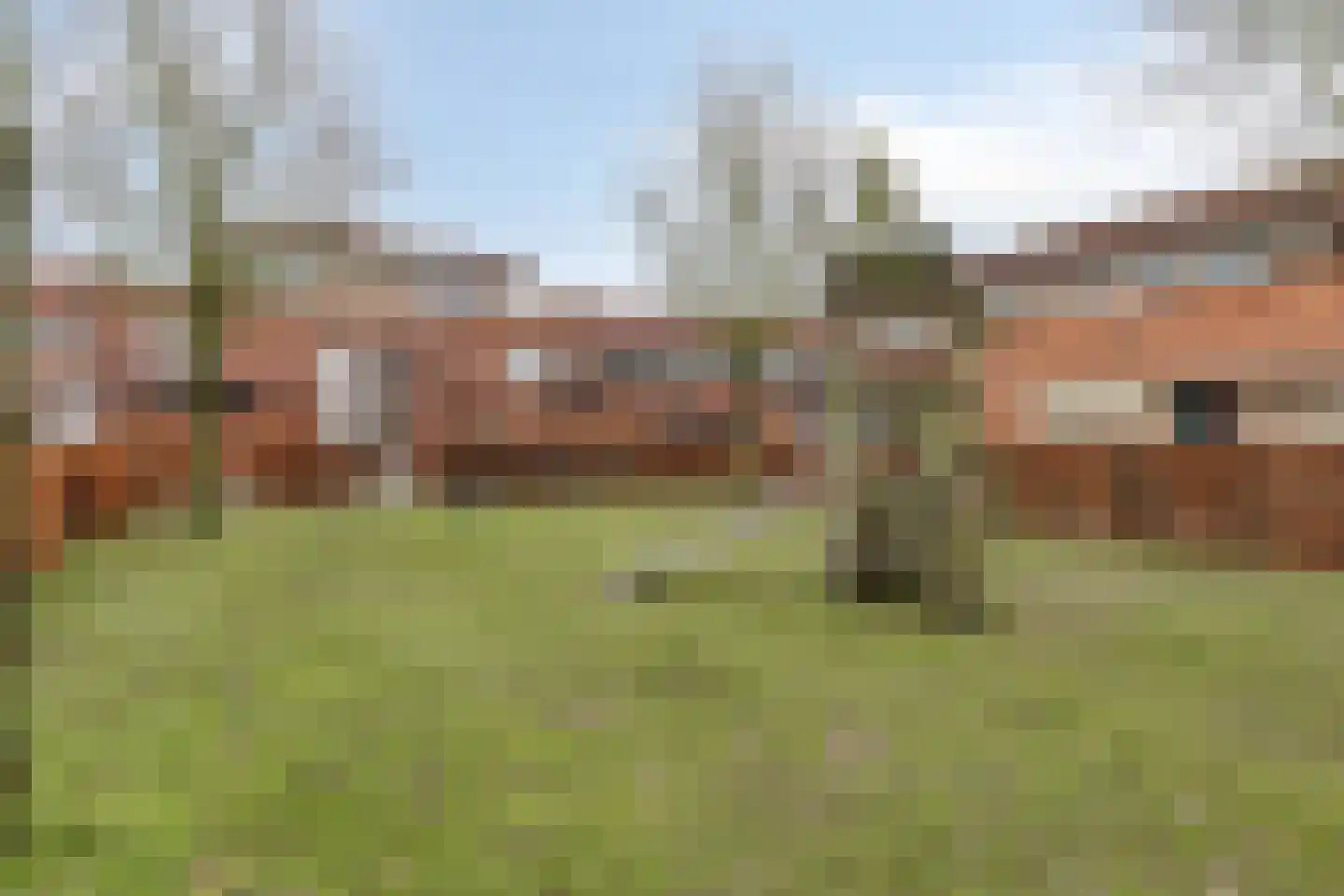 Wingerd 4 Ulft thumbnail 25