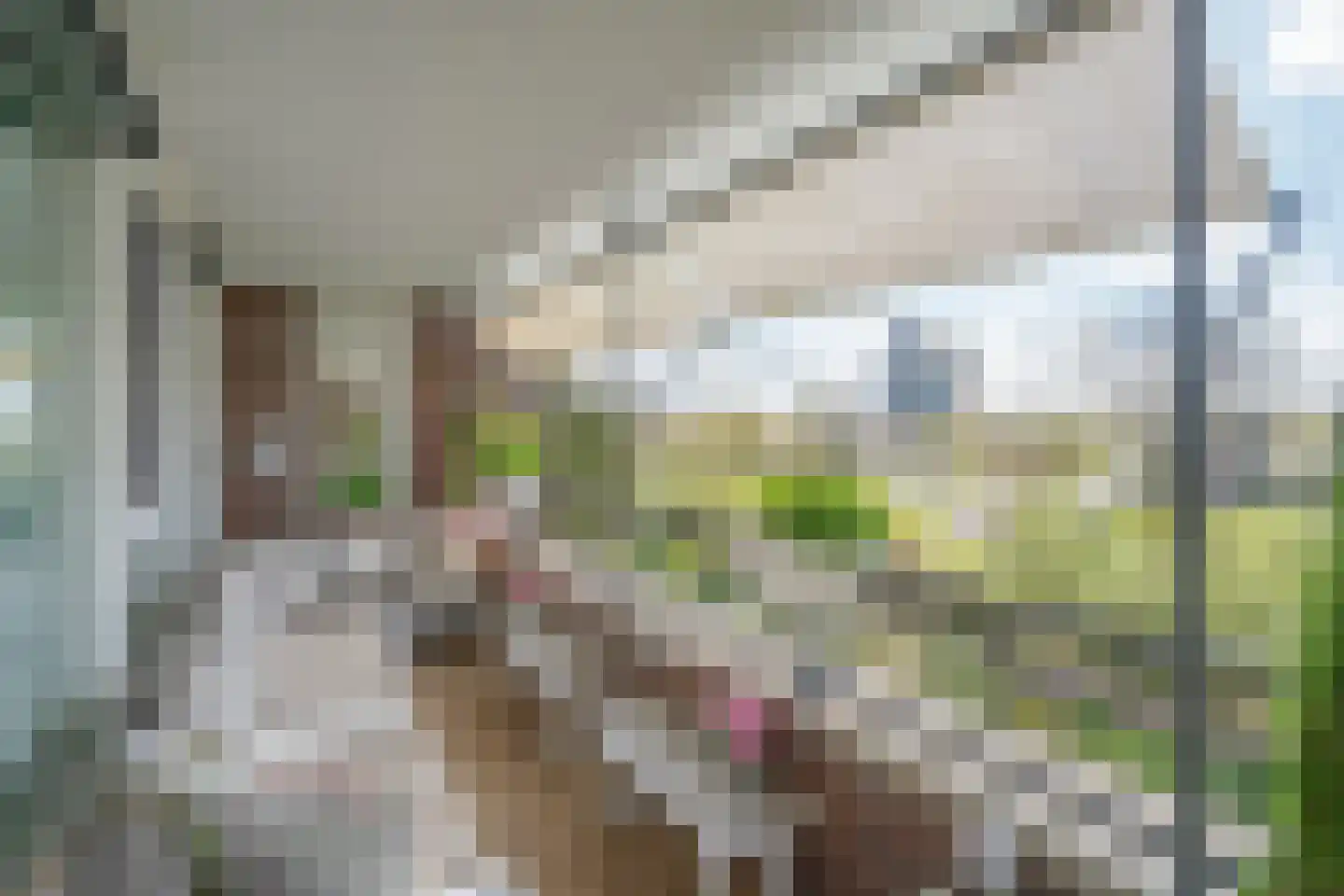 Wingerd 40 Den Haag thumbnail 12